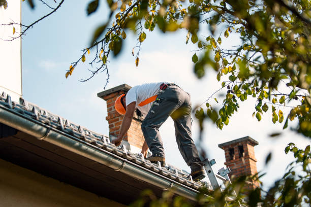 Best Storm Damage Roof Repair  in Hilbert, WI