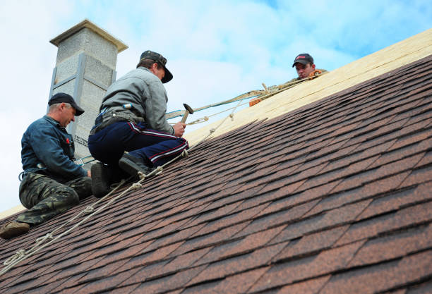 Best Residential Roofing Contractor  in Hilbert, WI